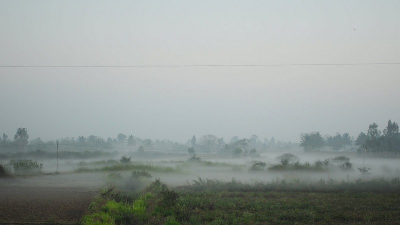 Krishnagiri Grass Mist