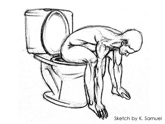 Western Toilets Posture 1